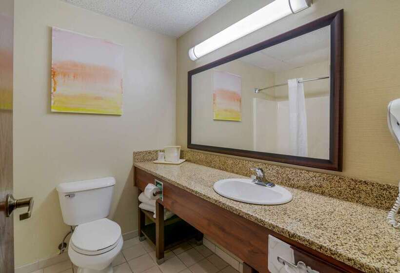 בית מלון כפרי Comfort Inn Bismarck