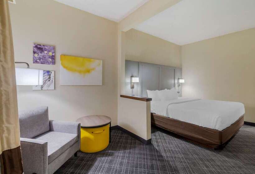 בית מלון כפרי Comfort Inn Bismarck