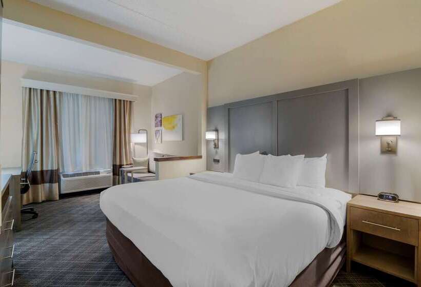 בית מלון כפרי Comfort Inn Bismarck