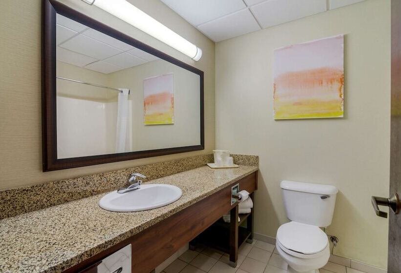 בית מלון כפרי Comfort Inn Bismarck