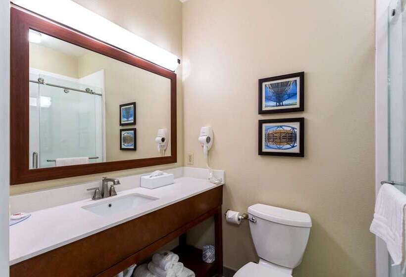 호텔 Comfort Inn & Suites Airport