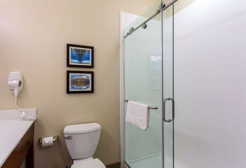 호텔 Comfort Inn & Suites Airport