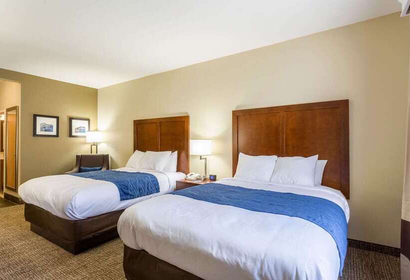 호텔 Comfort Inn & Suites Airport