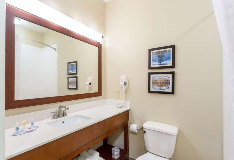 호텔 Comfort Inn & Suites Airport