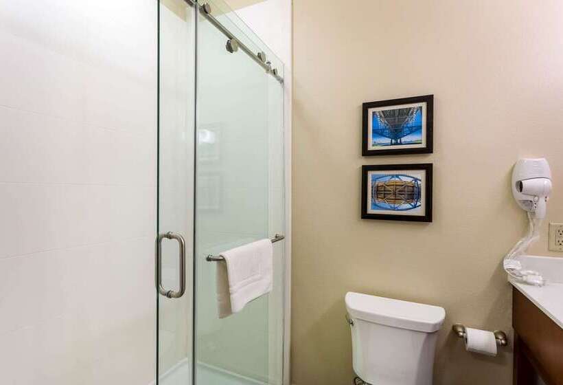 호텔 Comfort Inn & Suites Airport