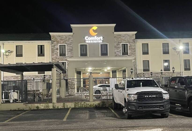 호텔 Comfort Inn & Suites Airport