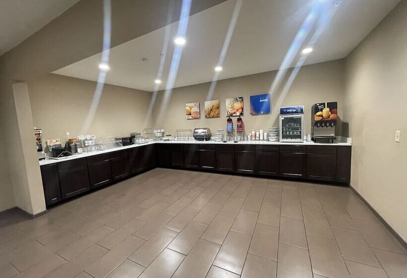 בית מלון כפרי Comfort Inn & Suites Airport