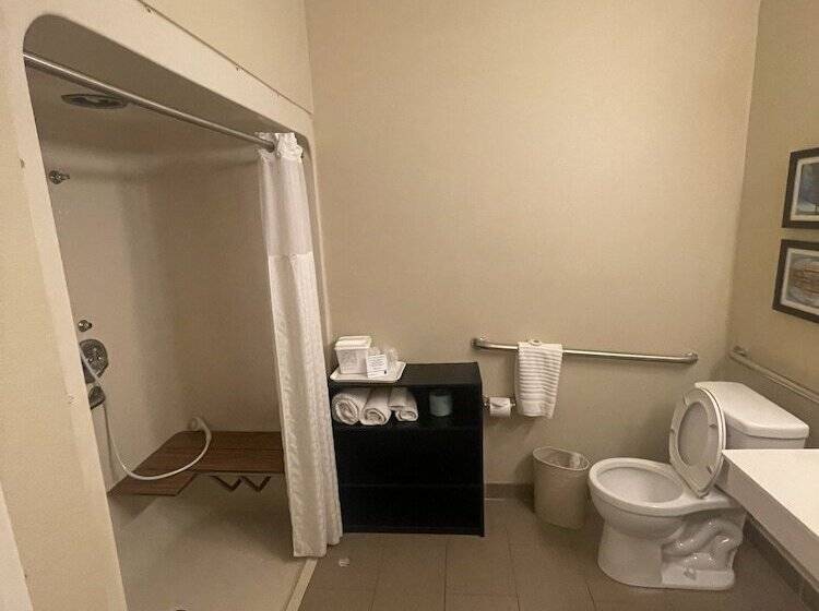 בית מלון כפרי Comfort Inn & Suites Airport