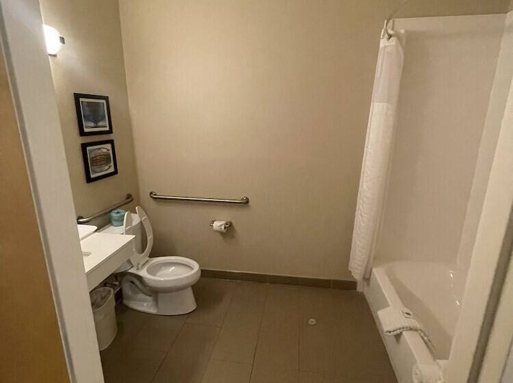 호텔 Comfort Inn & Suites Airport