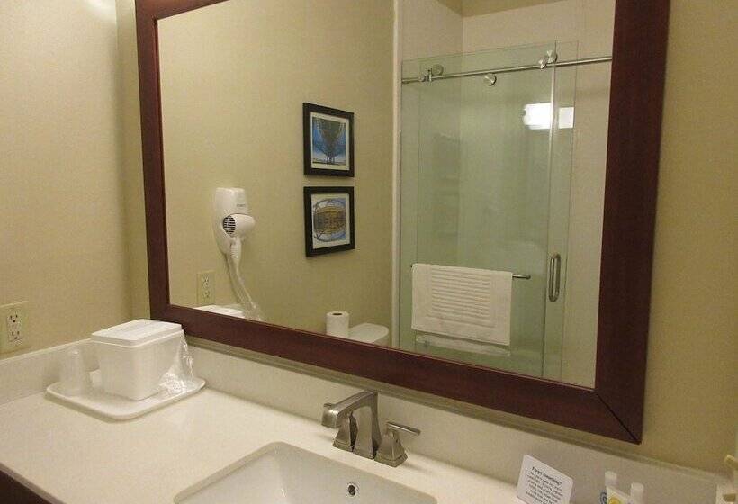 호텔 Comfort Inn & Suites Airport