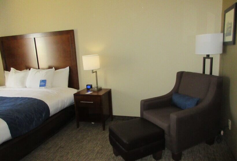 בית מלון כפרי Comfort Inn & Suites Airport