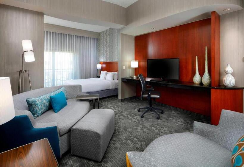 Отель Courtyard By Marriott San Antonio Six Flags At The Rim
