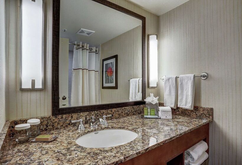 Отель Alpenrock Breckenridge, Curio Collection By Hilton