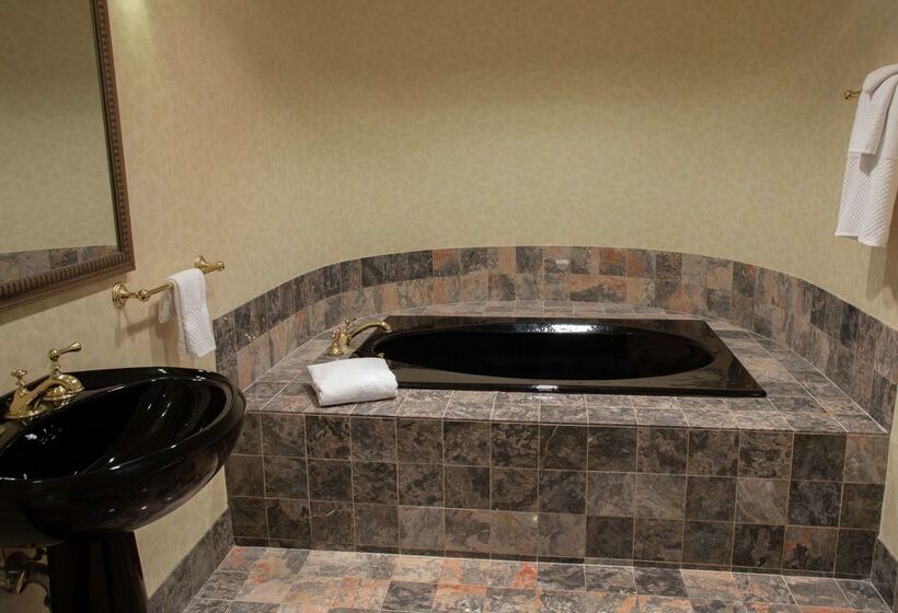 Отель President Abraham Lincoln Springfield   Doubletree By Hilton