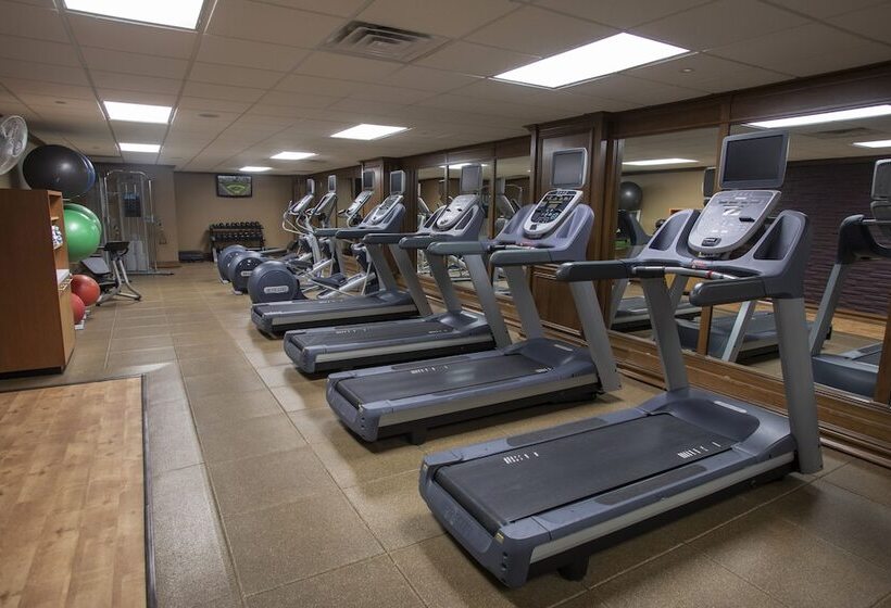 Отель President Abraham Lincoln Springfield   Doubletree By Hilton