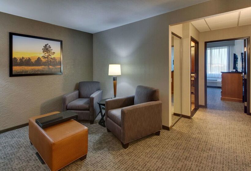 هتل Drury Inn & Suites Phoenix Happy Valley
