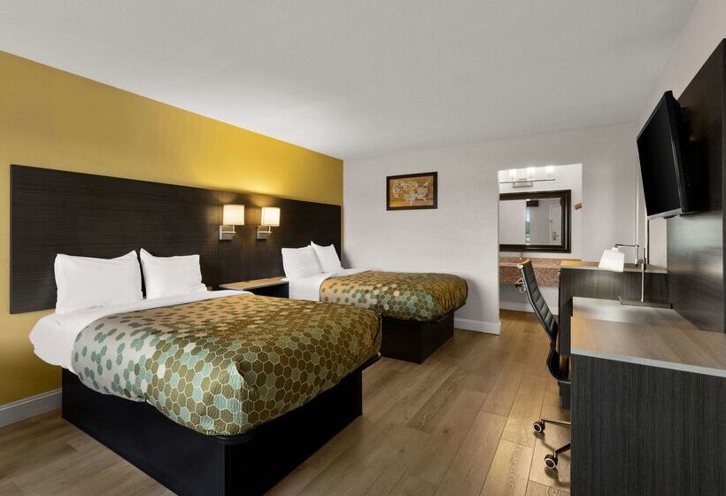 בית מלון כפרי Econo Lodge White Pine Morristown I81 & I40 Split