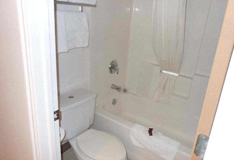 Отель Economy Inn & Suites