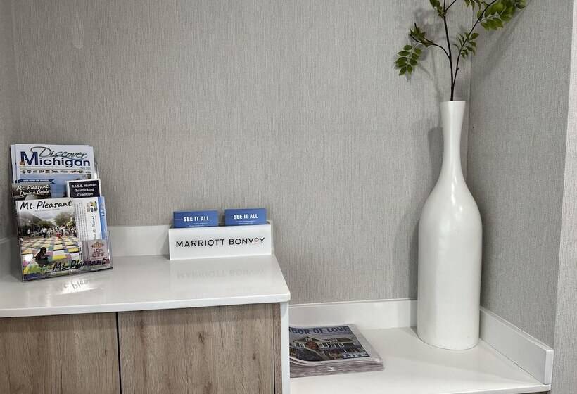 호텔 Fairfield Inn & Suites Mt. Pleasant