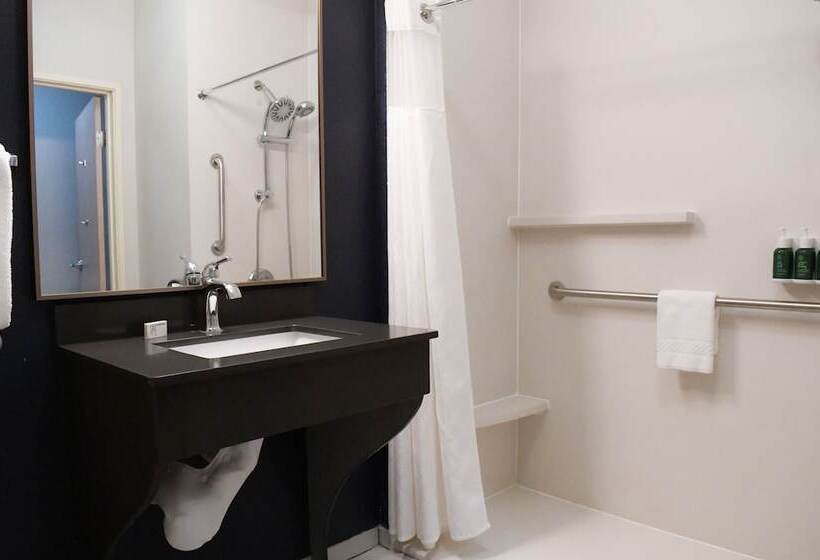 酒店 Fairfield Inn & Suites Mt. Pleasant