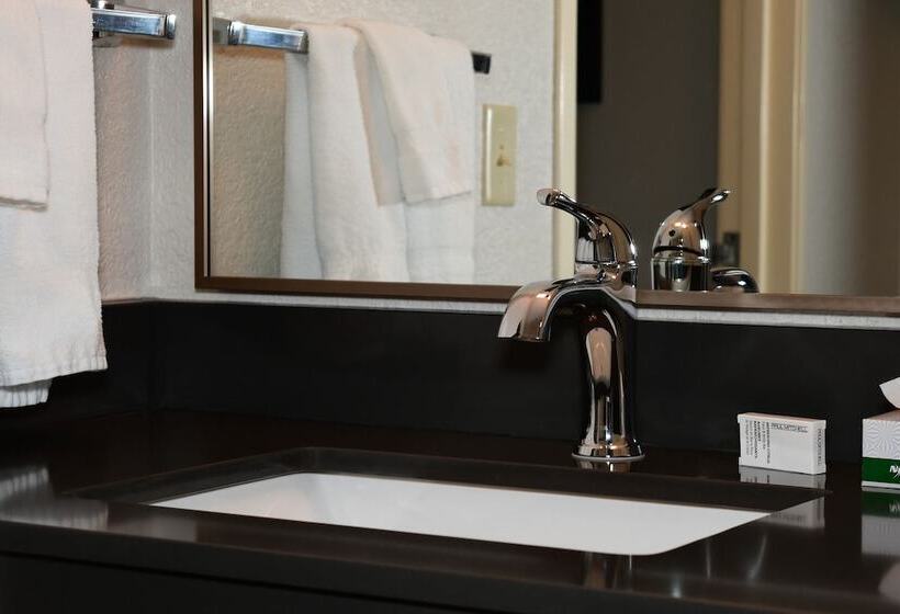 호텔 Fairfield Inn & Suites Mt. Pleasant