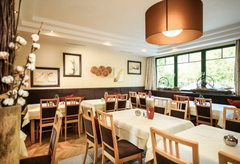 בית מלון כפרי Dips&drops   First Bike & Ski Hub