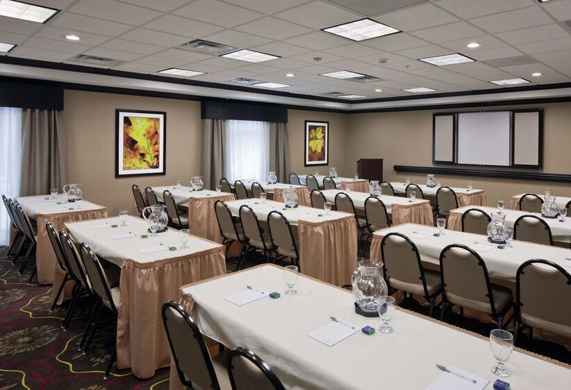 فندق Hampton Inn & Suites Saginaw