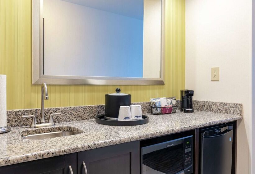 فندق Hampton Inn & Suites Saginaw