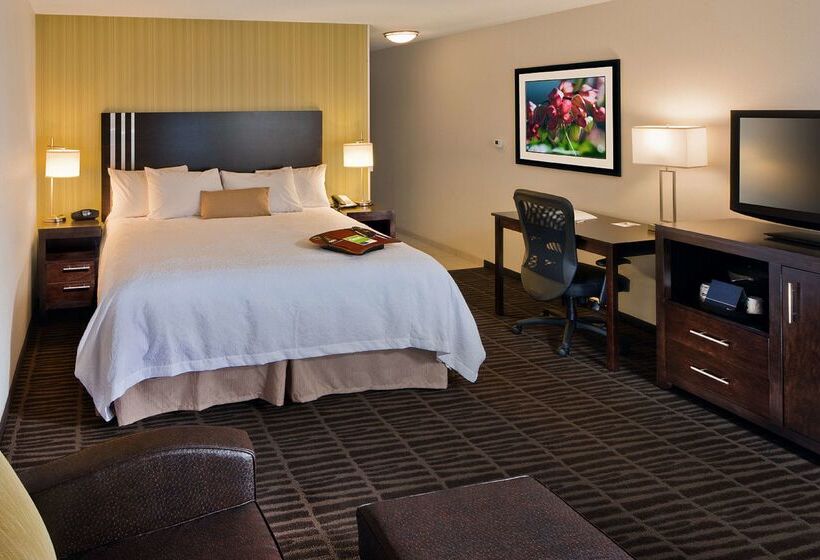 فندق Hampton Inn & Suites Saginaw