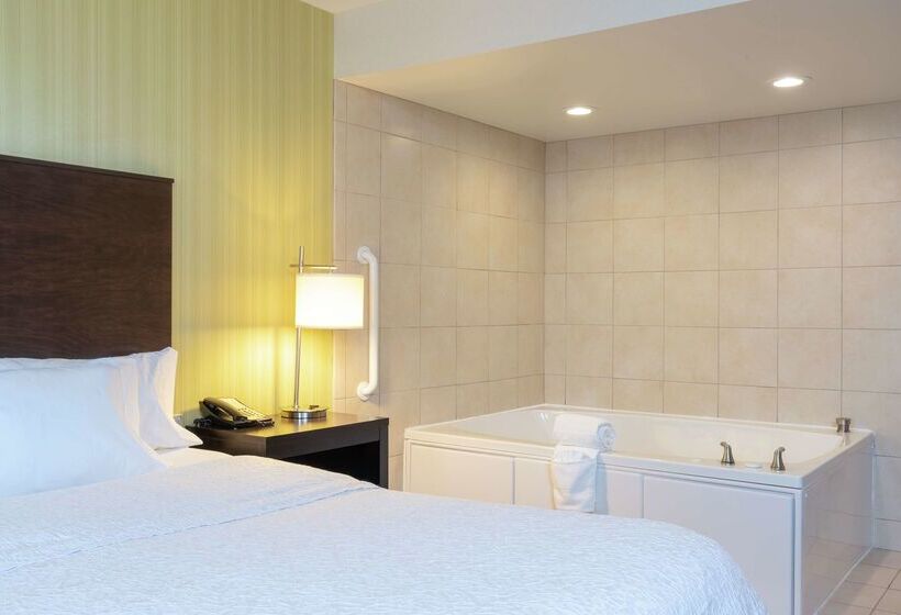 فندق Hampton Inn & Suites Saginaw