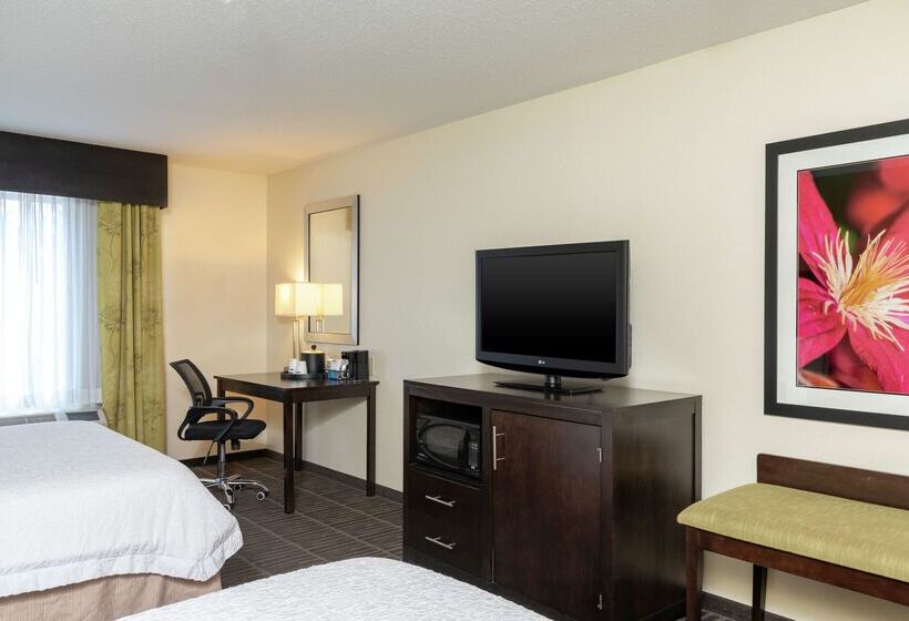 فندق Hampton Inn & Suites Saginaw