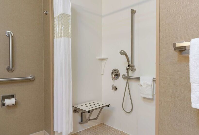 فندق Hampton Inn & Suites Saginaw