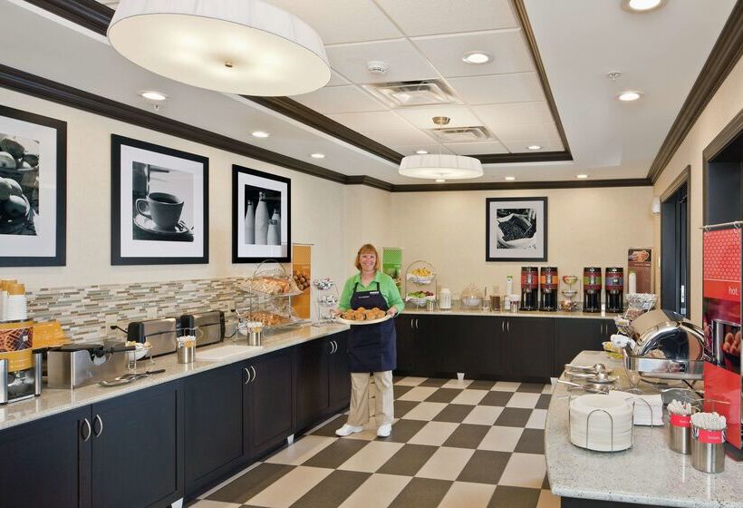 فندق Hampton Inn & Suites Saginaw