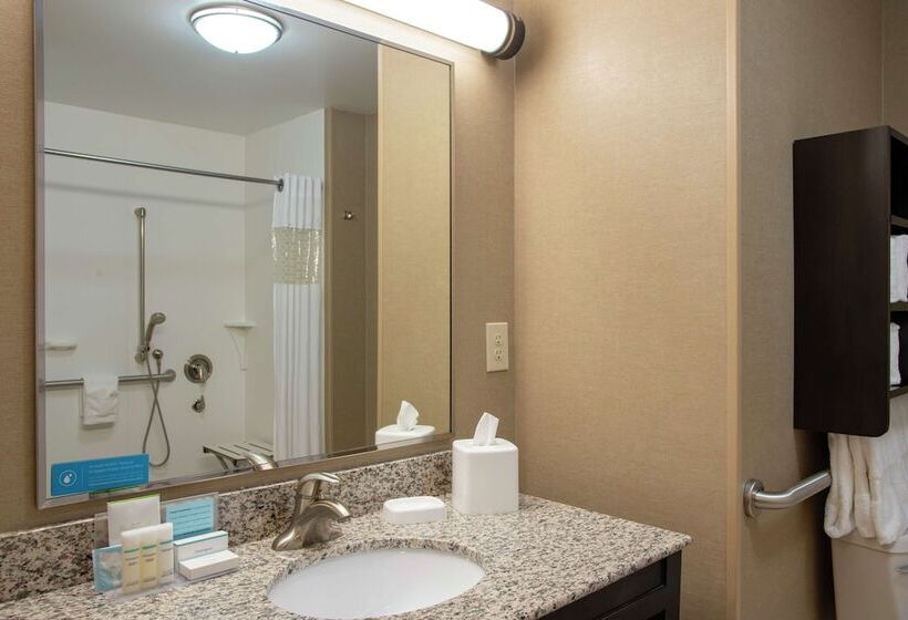 فندق Hampton Inn & Suites Saginaw