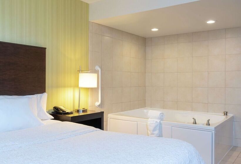 فندق Hampton Inn & Suites Saginaw