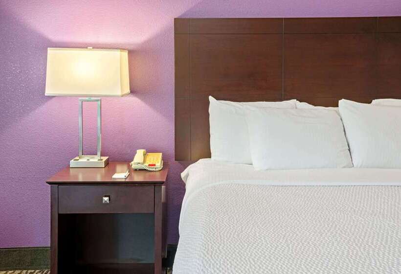 호텔 La Quinta By Wyndham Houston   Magnolia