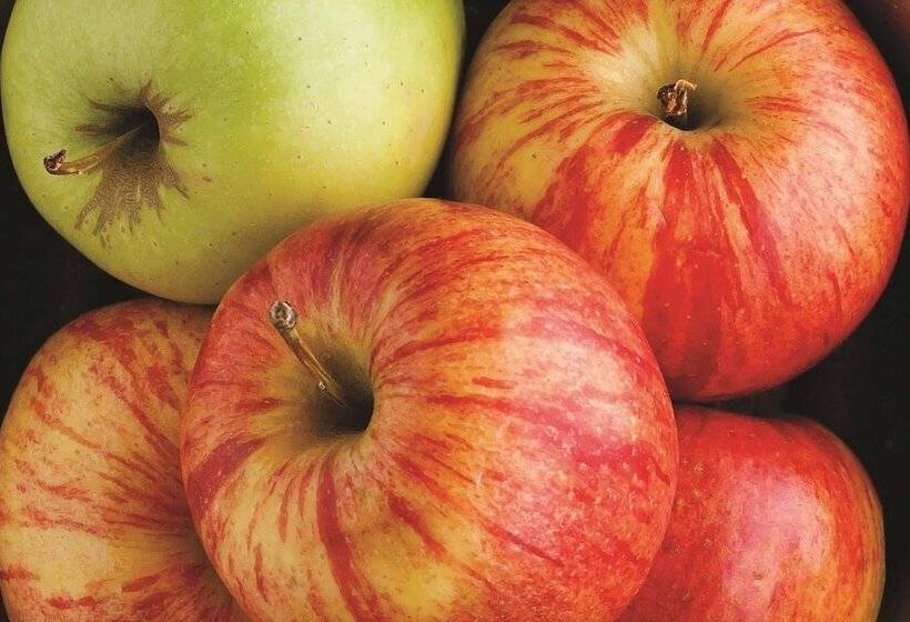 酒店 La Quinta By Wyndham Manassas Battlefield