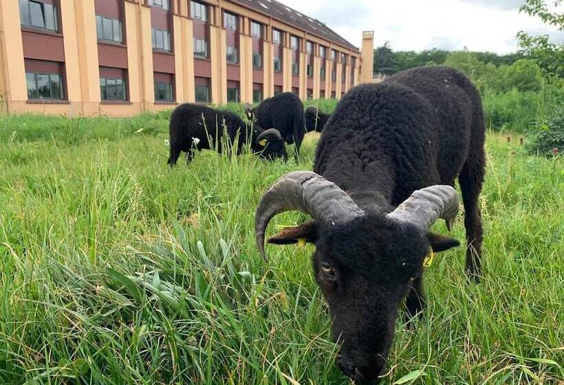 فندق Le Green Des Impressionnistes