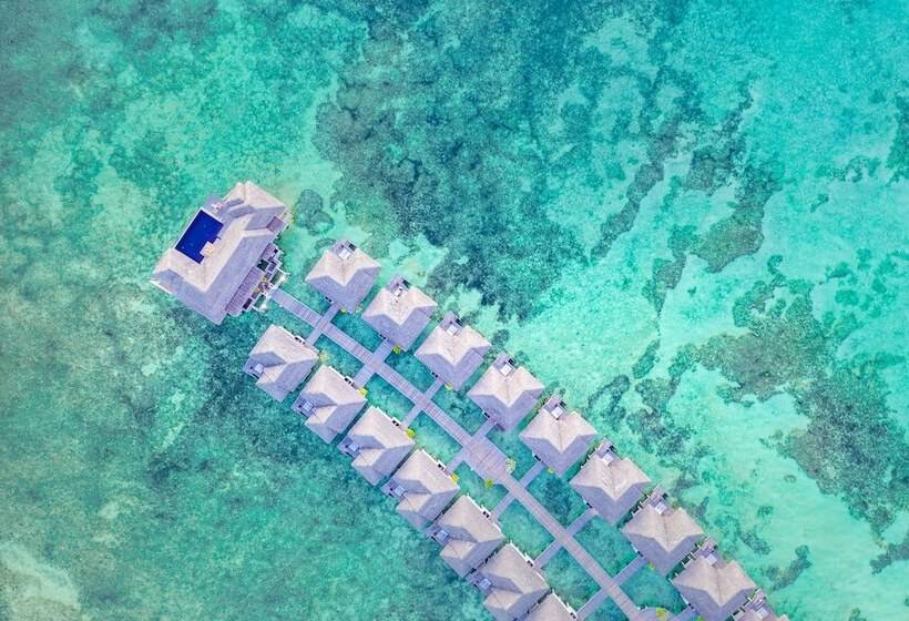 酒店 Lux South Ari Atoll Resort & Villas