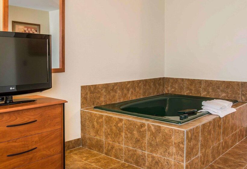 בית מלון כפרי Quality Inn Durand I 69