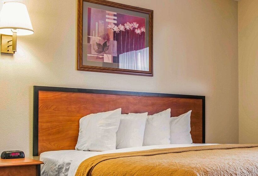 בית מלון כפרי Quality Inn Durand I 69