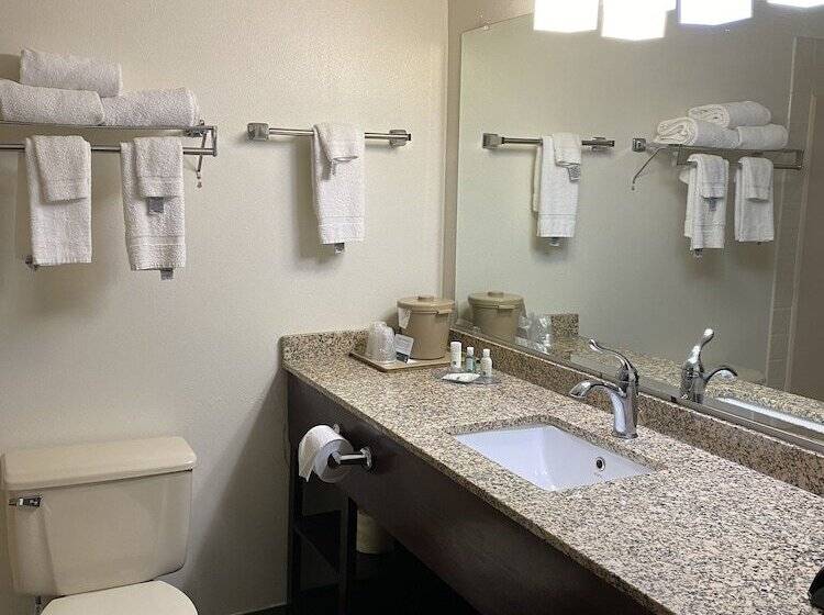 בית מלון כפרי Quality Inn Morton At I74