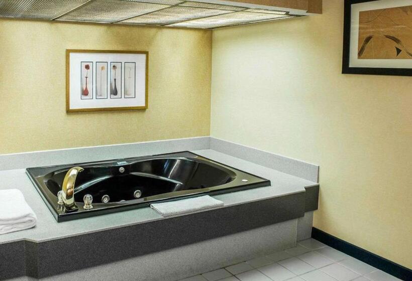 فندق Quality Inn & Suites