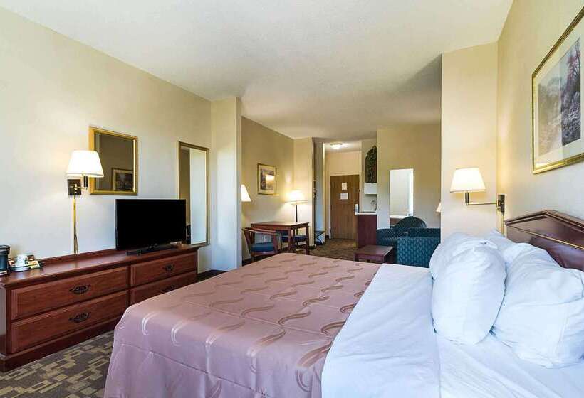 فندق Quality Inn & Suites Schoharie Near Howe Caverns