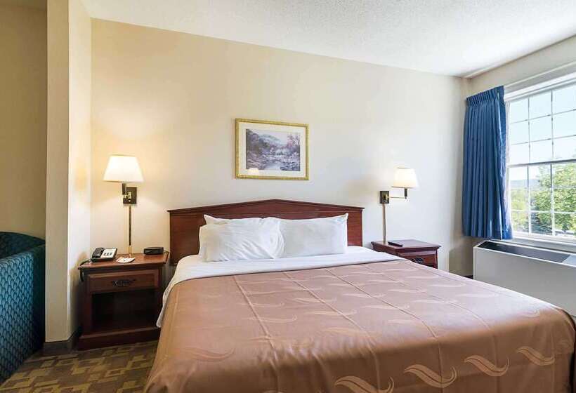 فندق Quality Inn & Suites Schoharie Near Howe Caverns
