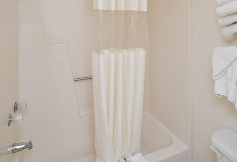 酒店 Red Carpet Inn Pulaski