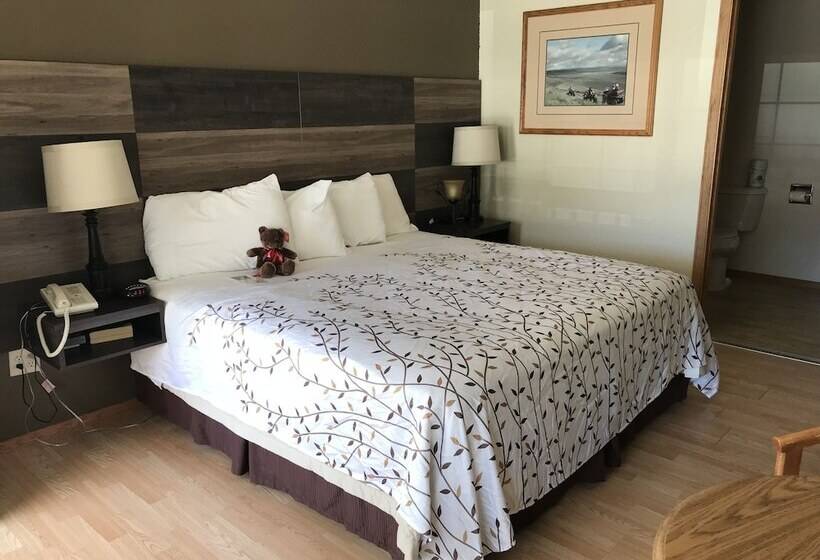 Отель Roosevelt Inn Mount Rushmore