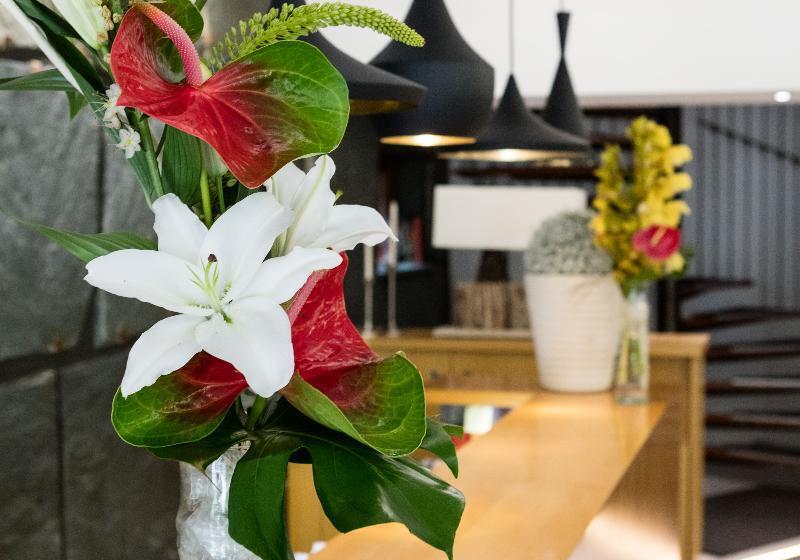 בית מלון כפרי Rotonde