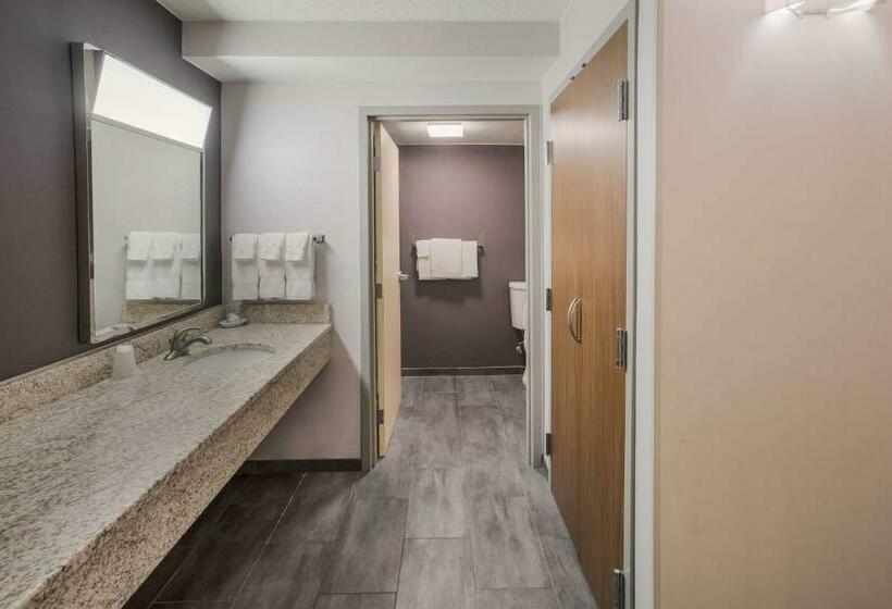 ホテル Sonesta Select Phoenix Chandler