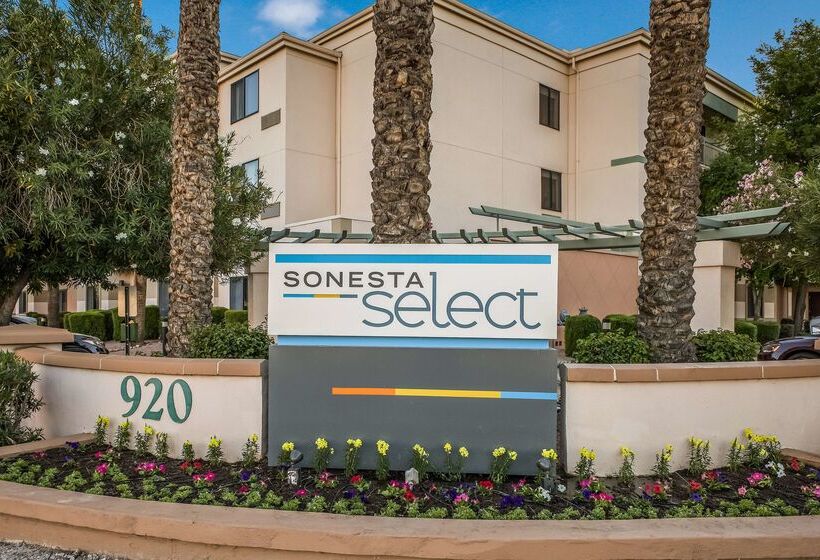 ホテル Sonesta Select Phoenix Chandler